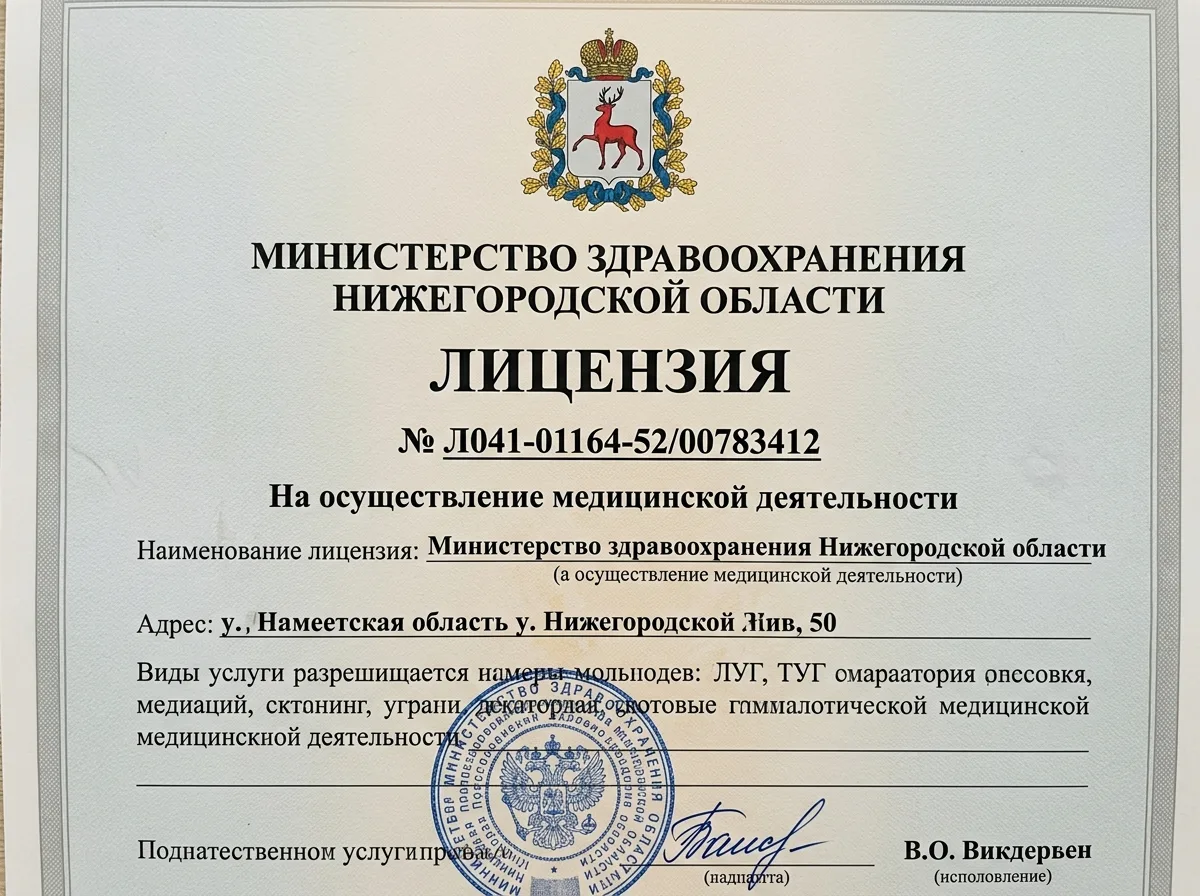 Лицензия на медицинскую деятельность Л041-01164-52/00783412, документ Министерства здравоохранения Нижегородской области, официальный бланк с гербом